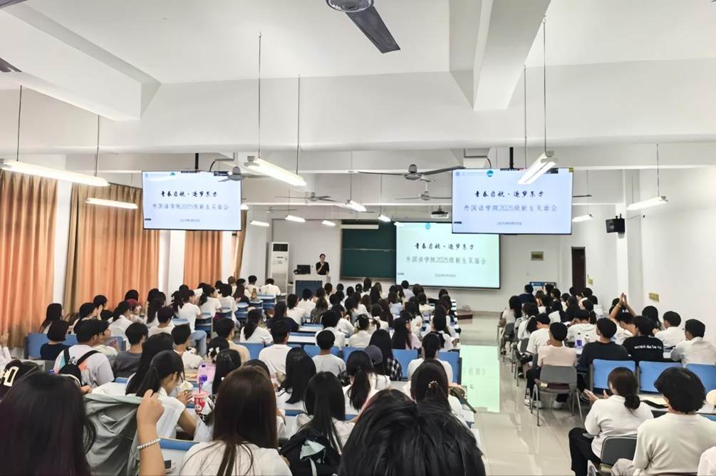 2510cb341d746fd6a1ee7729478ca93b_